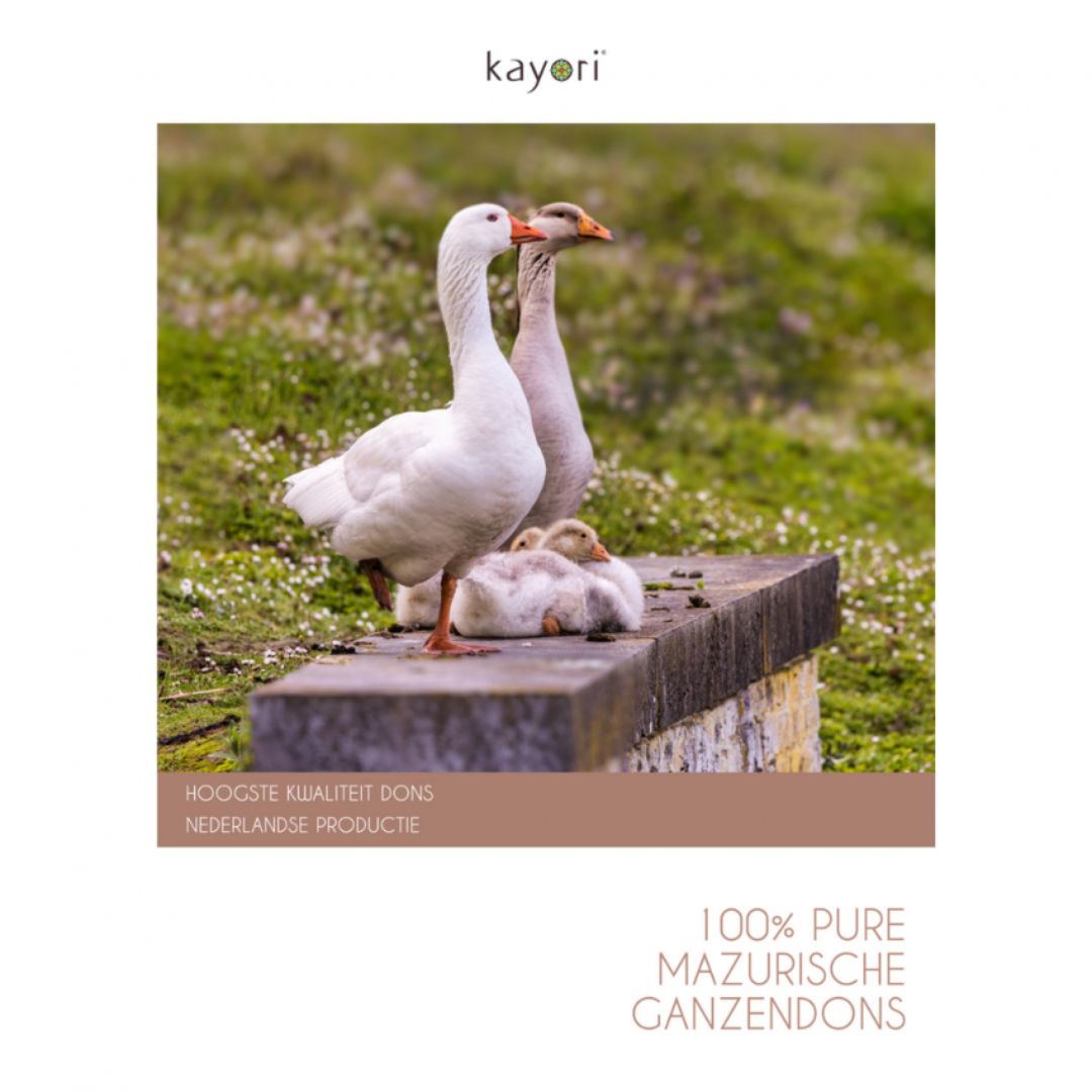 Kayori dekbed Umou ganzendons