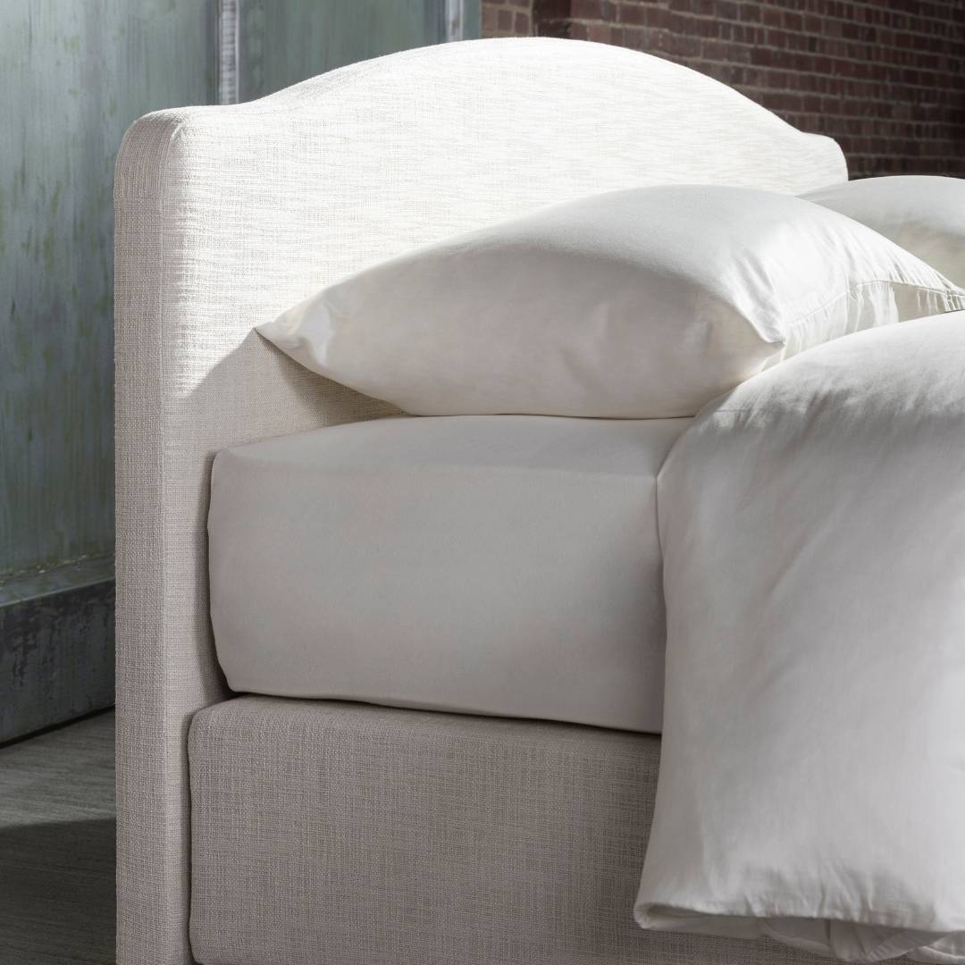 Magnitude Louis XV