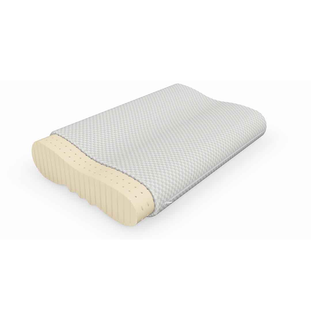Magnitude Pillow