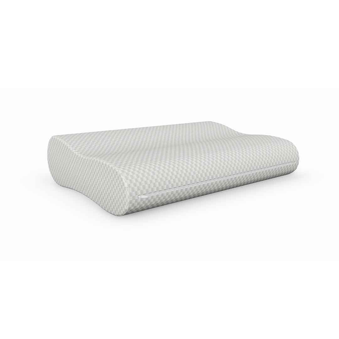 Magnitude Pillow
