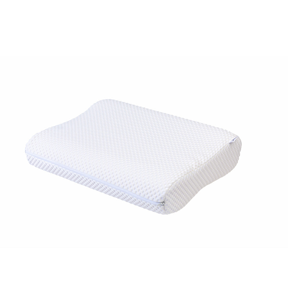 Magnitude Pillow