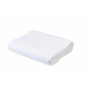 Magnitude Pillow
