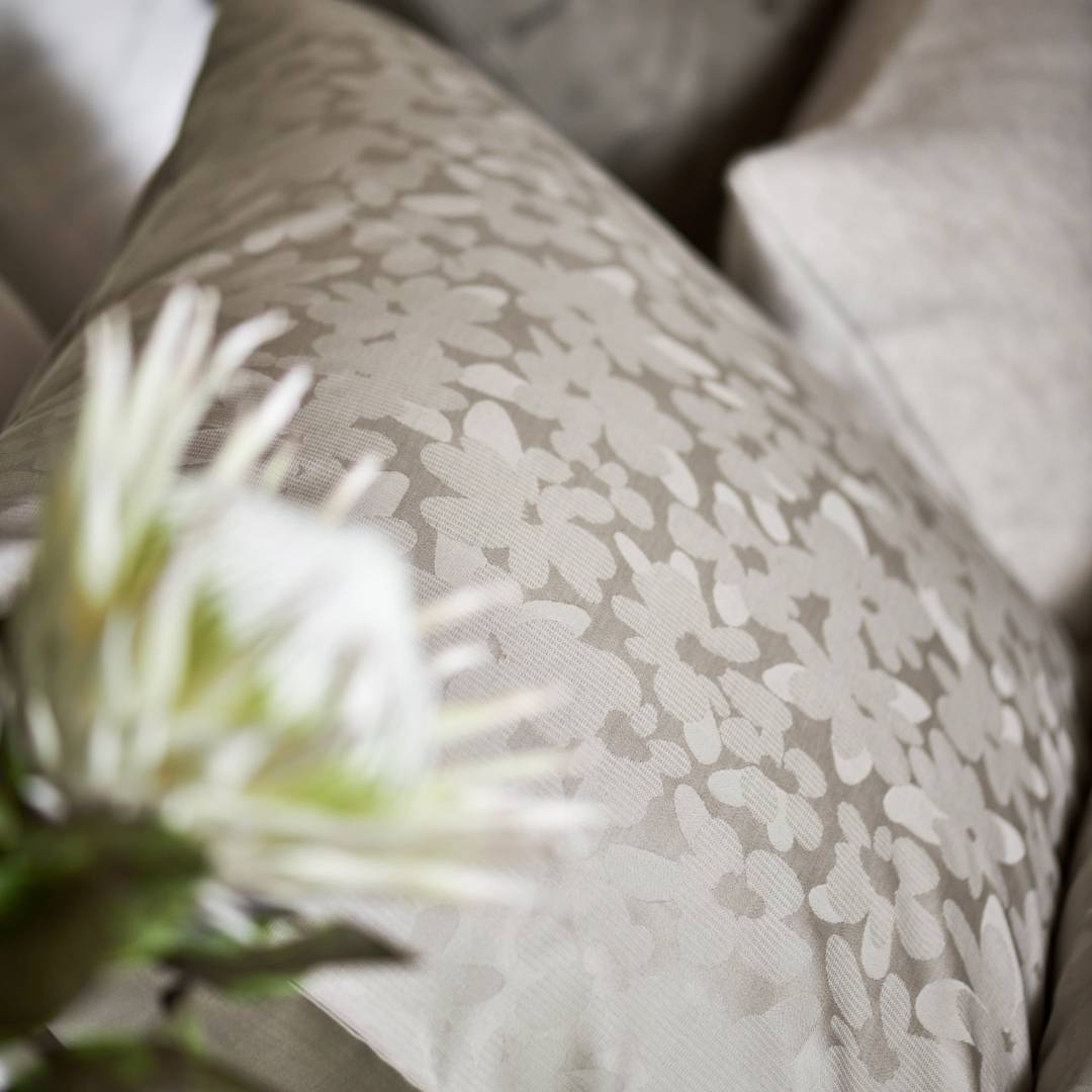 Vandyck Dekbedovertrek Purity Sanremo Salie