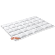 Vandyck Excellent 450